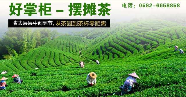 2茶山图片