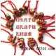 本命年红绳手链 2元店进货 地摊热卖 江湖地摊暴利小商品代理加盟