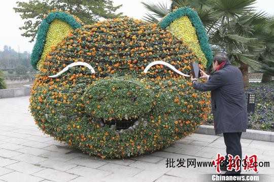重庆大足龙水湖万株郁金香花开‘醉’倒游人