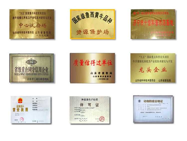 山东华荣养殖场官网