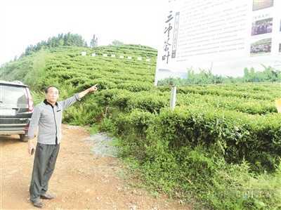 陶德武：退休老人三冲茶叶创业年入1200万