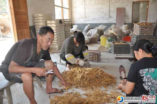 刘克纯：邵阳七十老人开网店卖玉竹药材年销1.2亿