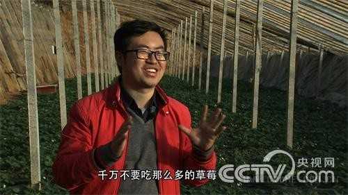 吴迪：创业惨败后种出80元1公斤的草莓的绝招