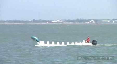 [我爱发明]骑乘式游艇 鲨鱼造型船 鲨鱼海上游(发明人赵鹤鸣)